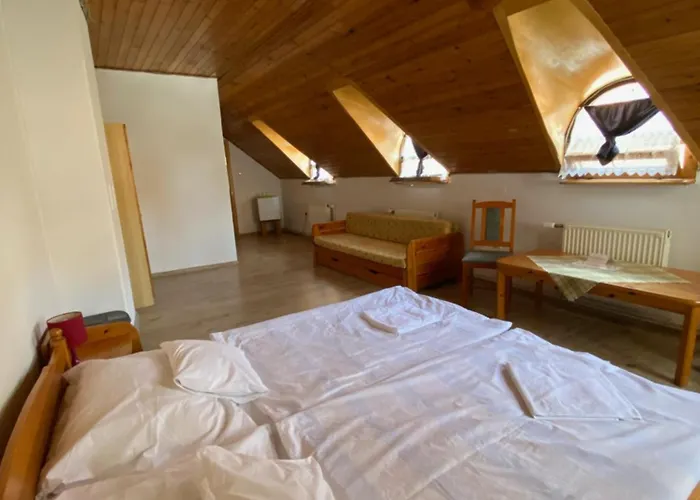 Katalinkert Panzio 3*